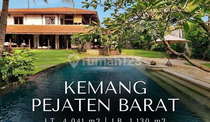 Tropical Resort House Halaman Luas di Kemang, LT 4041 LB 1130