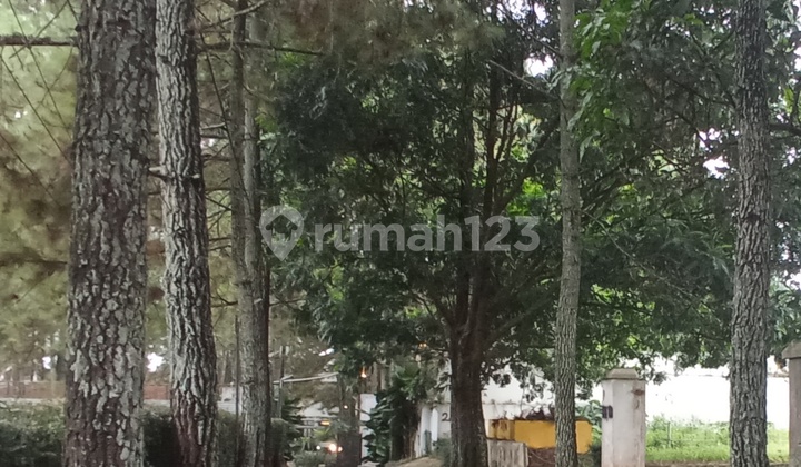 Jual Cepat dan Murah Tanah Kav Dekat Tubagus Ismail, Dago