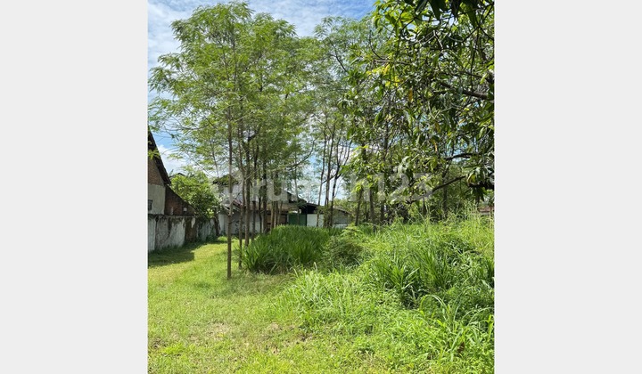 LAND SUITABLE FOR BUSINESS IN KARANGSEMBUNG, CIREBON LAND SUITABLE FOR BUSINESS IN KARANGSEMBUNG, CIREBON