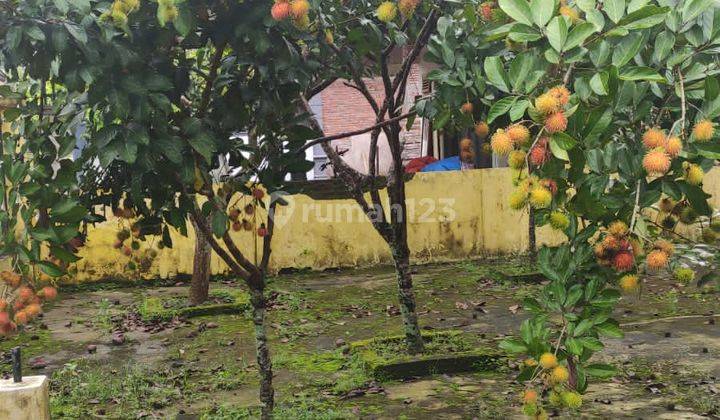 Dijual Cepat Rumah 2 Lantai Luas Dan Nyaman, Trenggalek  10
