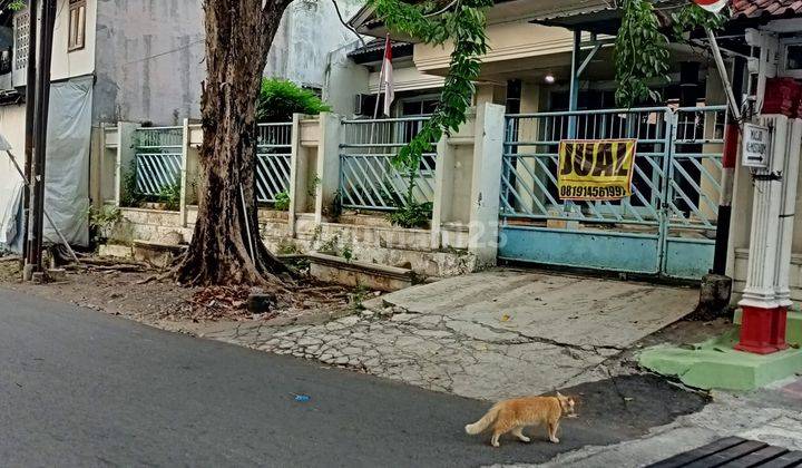 Rumah Kantor Lokasi Strategis di Singosari Timur, Semarang 1