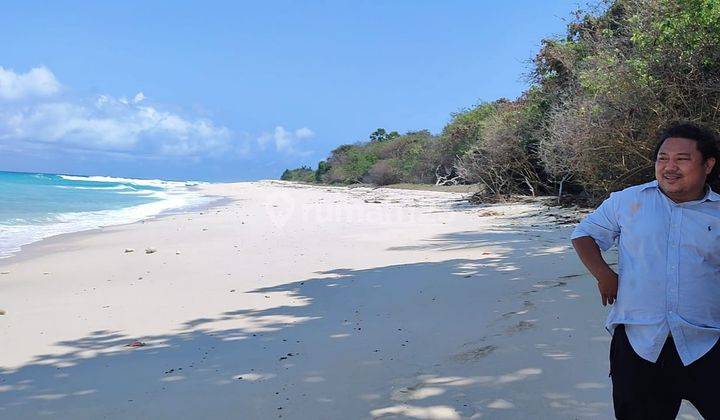 DI JUAL TANAH LOS PANTAI DI PULAU MULES NTT 1