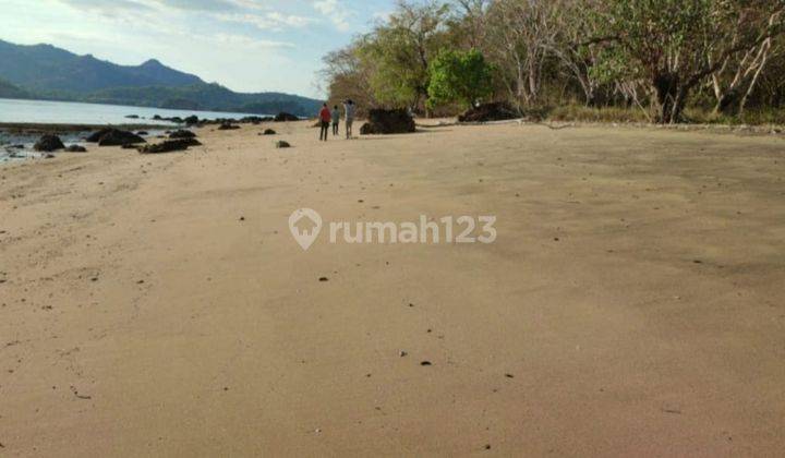 Di Jual Tanah Bukit Langsung Pantai Di Labuan Bajo 5