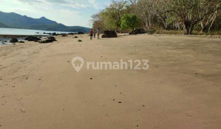 Di Jual Tanah Bukit Langsung Pantai Di Labuan Bajo 6
