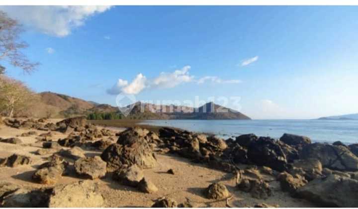 Di Jual Tanah Bukit Langsung Pantai Di Labuan Bajo 9