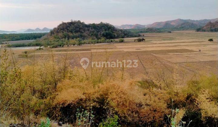 Di Jual Tanah Bukit Di Labuan Bajo 2