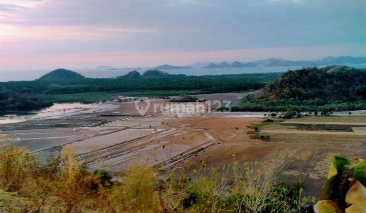 Di Jual Tanah Bukit Di Labuan Bajo 3