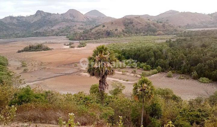 Di Jual Tanah Bukit Di Labuan Bajo 4