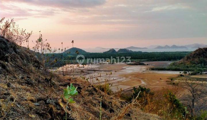 Di Jual Tanah Bukit Di Labuan Bajo 5