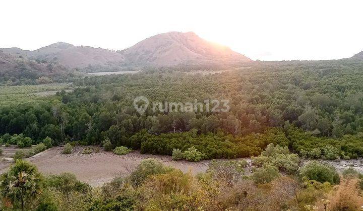 Di Jual Tanah Bukit Di Labuan Bajo 8