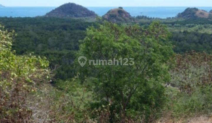 Di Jual Tanah Bukit Di Labuan Bajo 10