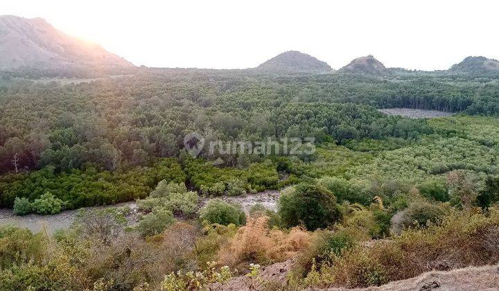 Di Jual Tanah Bukit Di Labuan Bajo 12