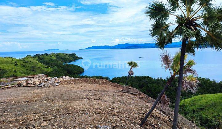 Di Jual Tanah Bukit View Laut Di Labuan Bajo 1