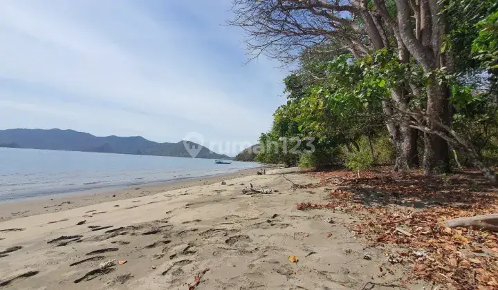 Di Jual Tanah Los Pantai Di Golo Mori 2