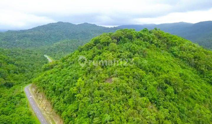  Di Jual Tanah Bukit Langsung Pantai Di Labuan Bajo 2