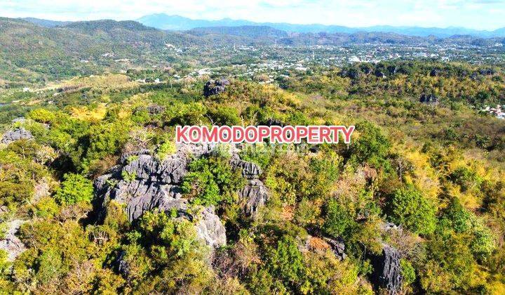 Di Jual Tanah Bukit View Laut Di Labuan Bajo 1