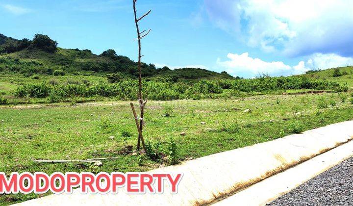 Di Jual Tanah View Bukit di Labuan Bajo 2