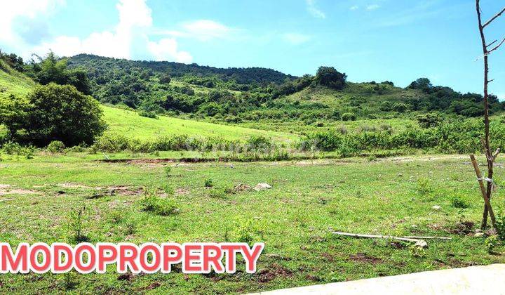 Di Jual Tanah View Bukit di Labuan Bajo 1