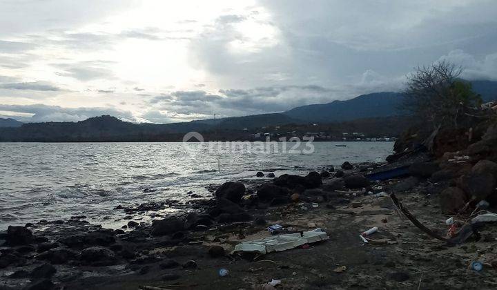 Di Jual Tanah Los Pantai Di Sape Bima Timur 5