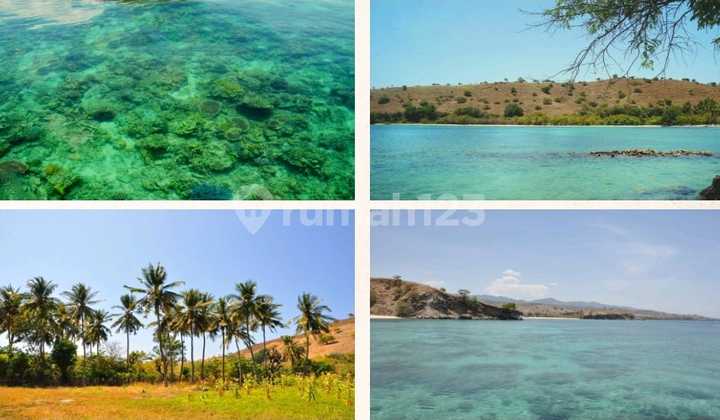 Di Jual Tanah Los Pantai Di Sape Bima Timur 4