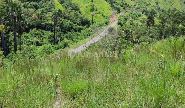 Di Jual Tanah View Laut Di Labuan Bajo 2