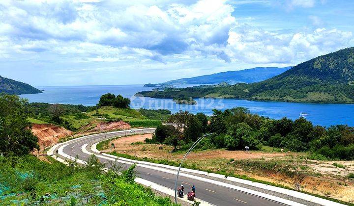 Di Jual Tanah Bukit View Laut Di Lekong Mbu Desa Warloka 2