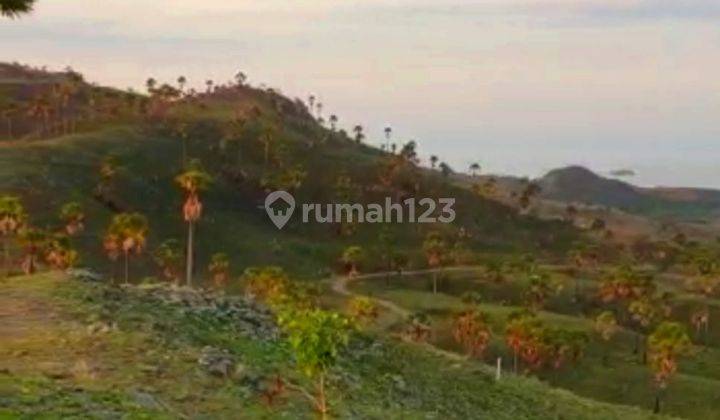 Di Jual Tanah Bukit View Sunset Dan Sunrise di Labuan Bajo 2