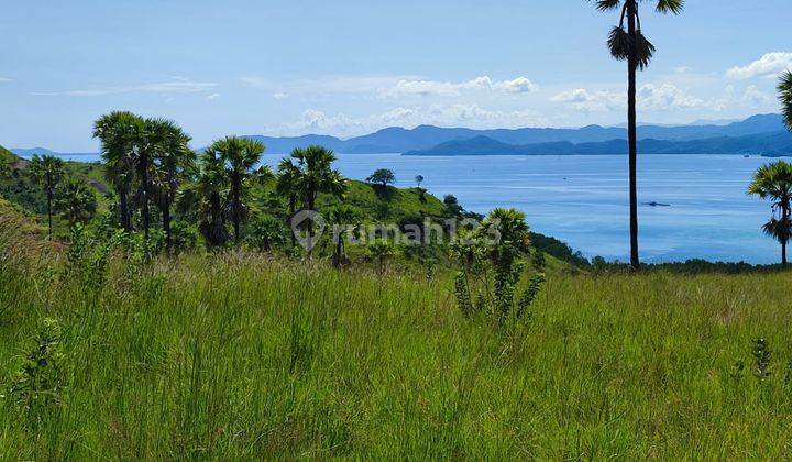 Di Jual Tanah Bukit View Laut di Wae Cicu Labuan Bajo 2