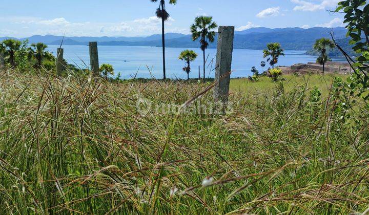 Di Jual Tanah Bukit View Laut di Wae Cicu Labuan Bajo 1