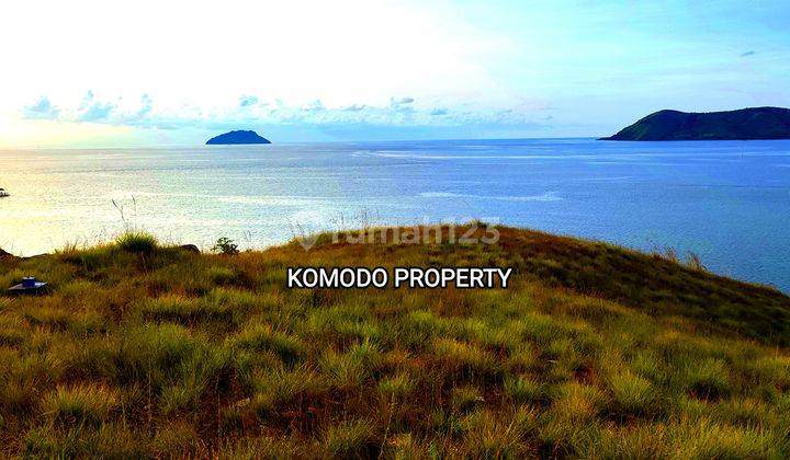 Di Jual Tanah Bukit Lagsung Pantai Di Labuan Bajo 7