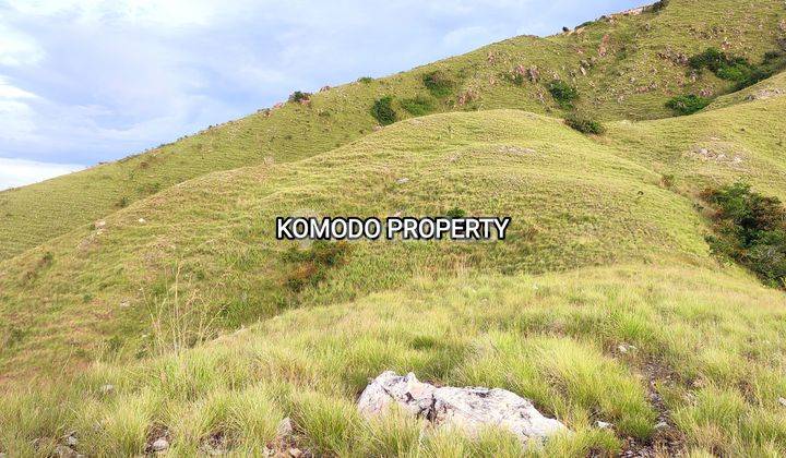 Di Jual Tanah Bukit Lagsung Pantai Di Labuan Bajo 8