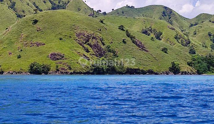 Di Jual Tanah Bukit Langsung Pantai Menjaga Labuan Bajo 1