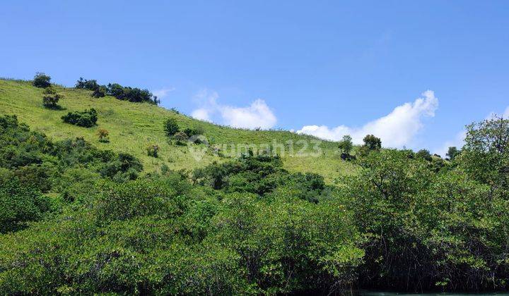 Di Jual Tanah Bukit Langsung Pantai Menjaga Labuan Bajo 1