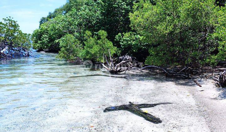 Di Jual Tanah Bukit Langsung Pantai Menjaga Labuan Bajo 2