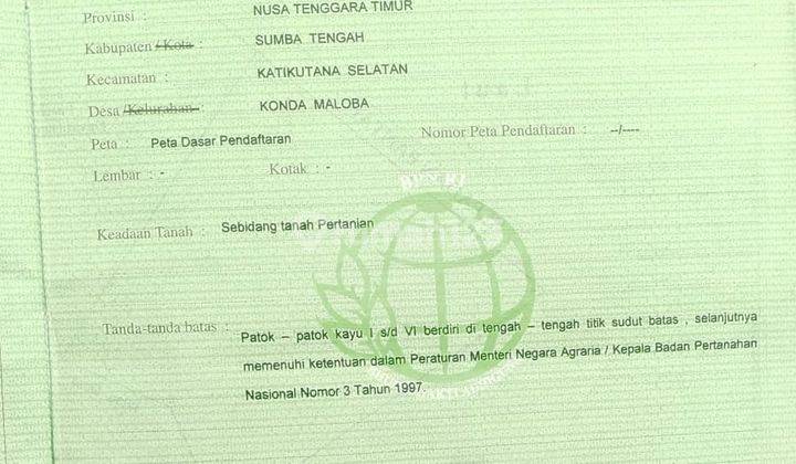 Di Jual Tanah Los Pantai di Sumba Tengah 3