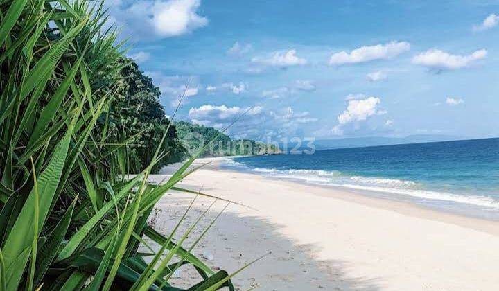 Di Jual Tanah Los Pantai di Sumba Barat 4