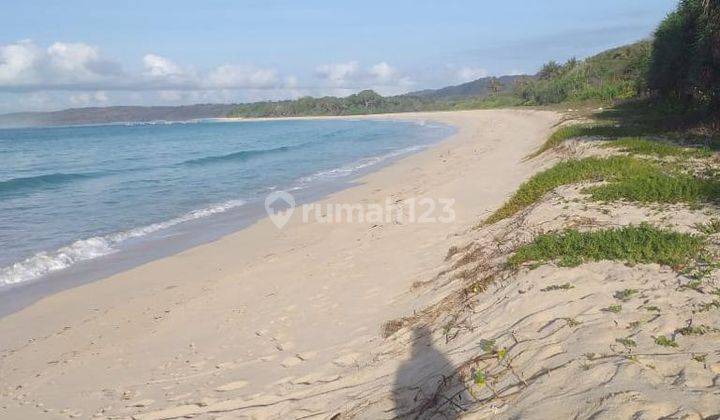 Di Jual Tanah Los Pantai Di Sumba Barat 1