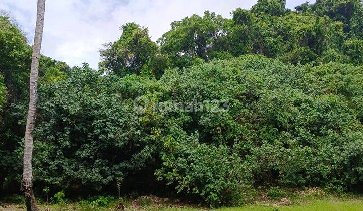 Di Jual Tanah Los Pantai Di Sumba Barat 6