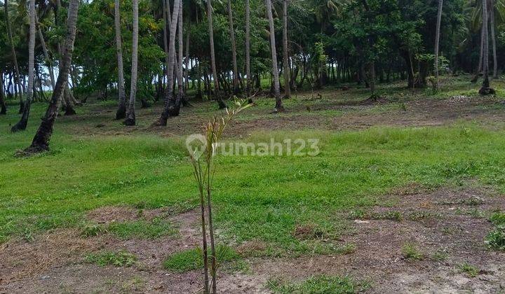 Di Jual Tanah Los Pantai Di Sumba Barat 10