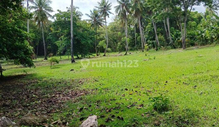 Di Jual Tanah Los Pantai Di Sumba Barat 12