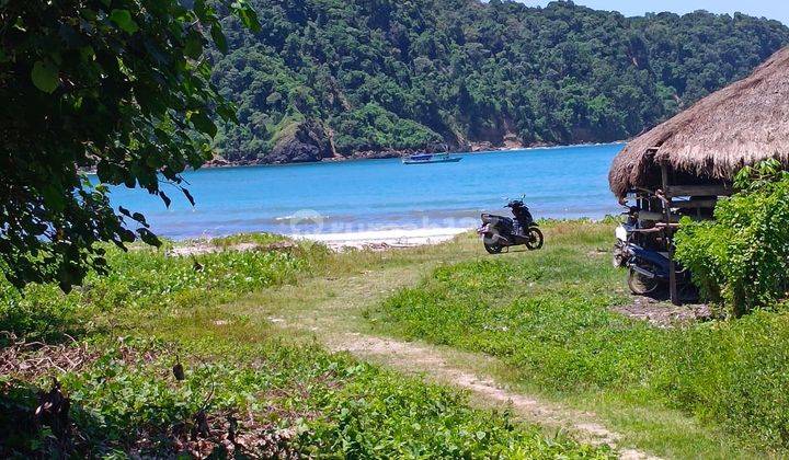Di Jual Tanah Los Pantai Sumba Tengah 7
