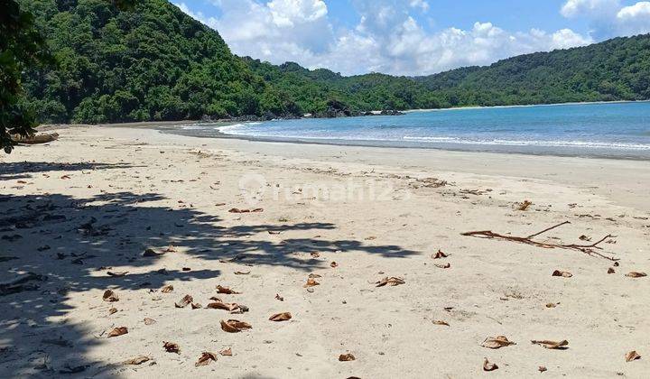 Di Jual Tanah Los Pantai Sumba Tengah 11