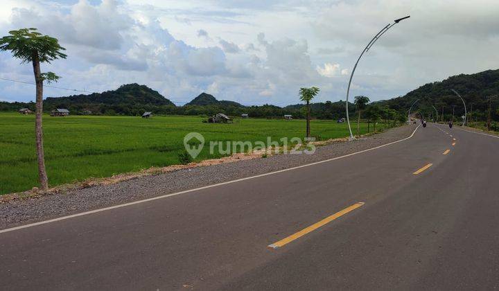 Di Jual Tanah Sawah Ditompong Labuan Bajo 2