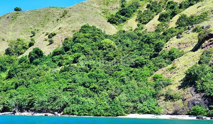 Jual Tanah Bukit Langsung Pantai di Labuan Bajo 1