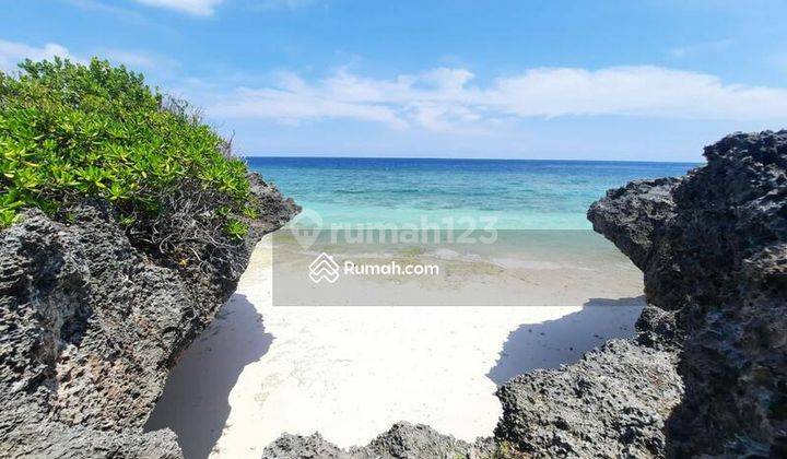 Di Jual Tanah Los Patai di Sumba Timur 1