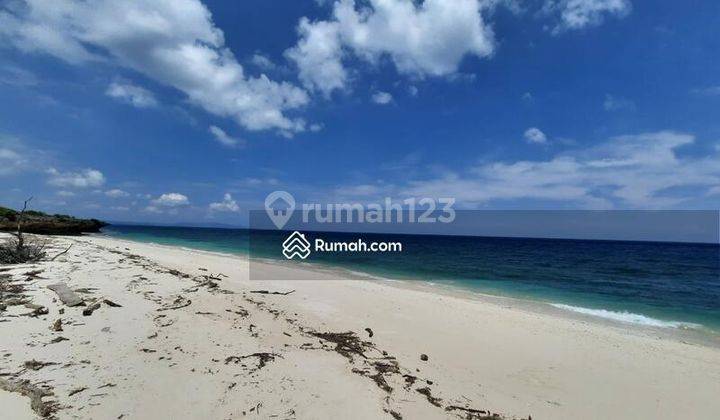 Di Jual Tanah Los Patai di Sumba Timur 2