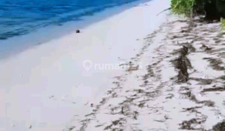 Di Jual Tanah Di Wakatobi Sulawesi Tenggara 2