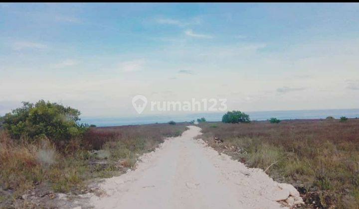 Di Jual Tanah Di Sumba Timur Los Pantai 2