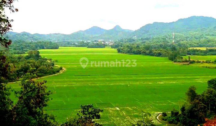 Di Jual Bukit View Sawah Di Labuan Bajo 1