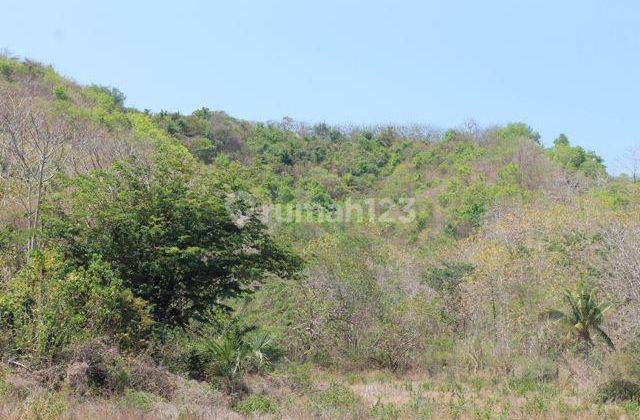 Di Jual Tanah Pantai Bukit Di Bari Labuan Bajo 2